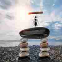 标​签﻿优​化‍什‍么﻿意‌思﻿